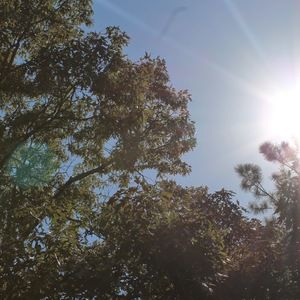 Meet your Posher, Allie